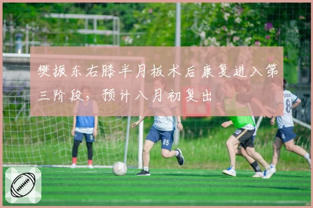 樊振东右膝半月板术后康复进入第三阶段，预计八月初复出