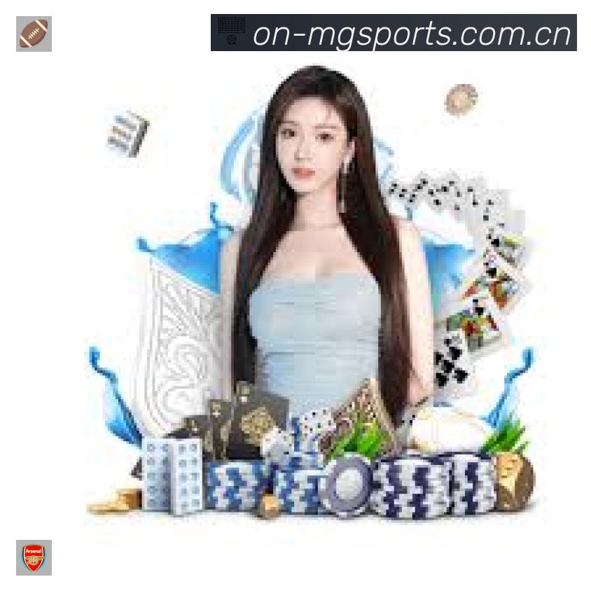 安全使用与支持流程